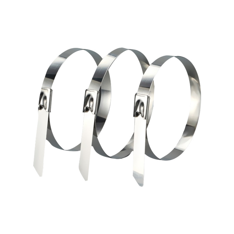 Picture of 304 stainless steel tie self-locking outdoor tie Marine buckle large ribbon tie fixed tie line
