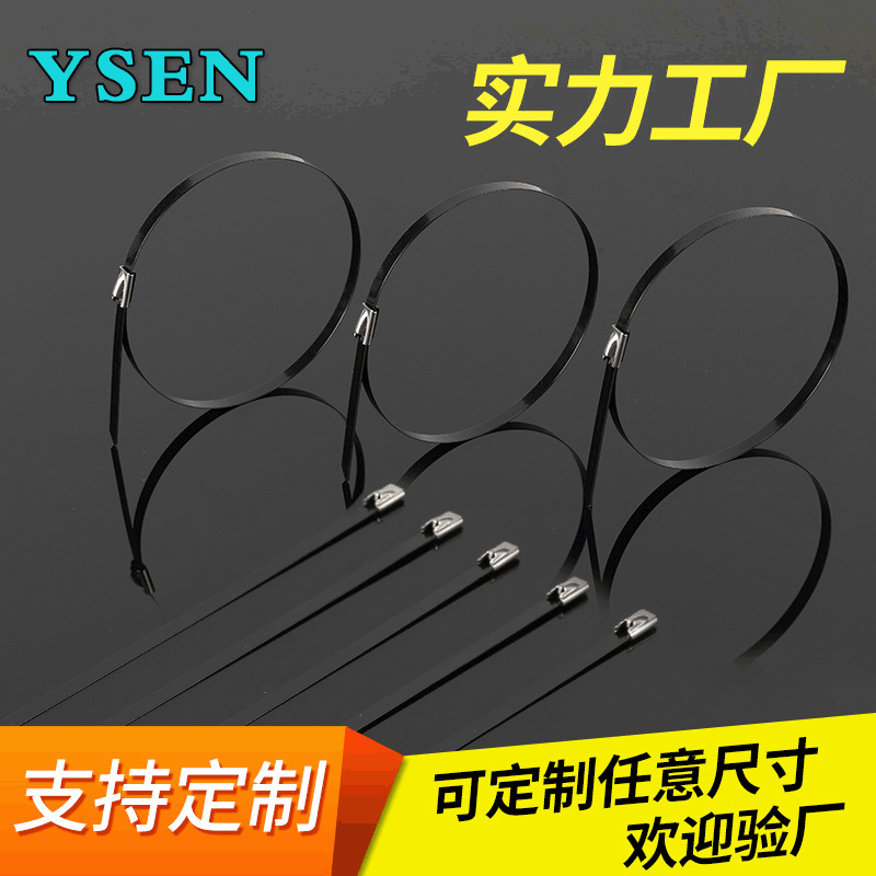Metal marine cable tie 201 plastic spray ball self-locking 304 stainless steel cable tie 4.6*300 metal cable tie