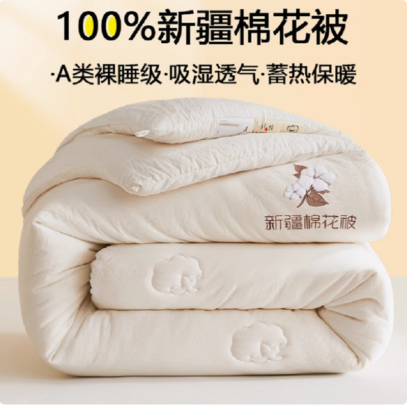 Category a Maternal and Infant Grade Cotton Quilt Thickeneded 100 Cotton Quilt Core Warm Spring Autumn Winter Quilt Gift Quilt Wholesale