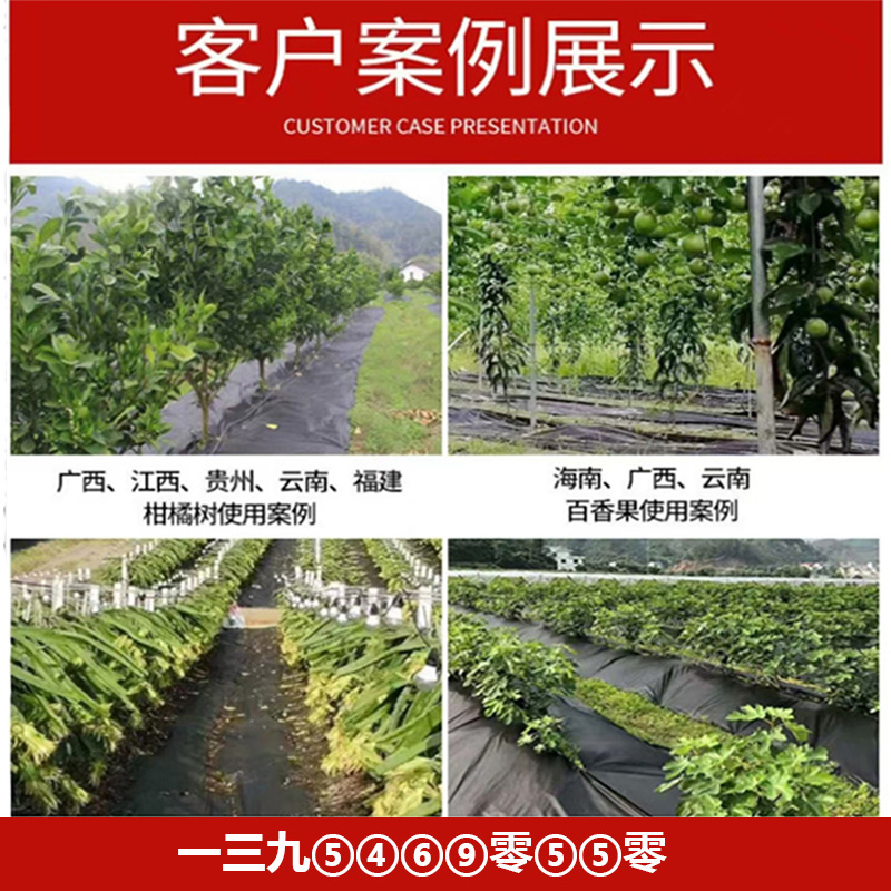 Picture of Pp Grass-Proof Cloth, Weed-Killing Cloth, Water-Permeable Breathable Ground Cloth, Fruit Tree Cover, Grass Mulch Film, Agricultural Non-Woven Fabric Manufacturer Wholesale