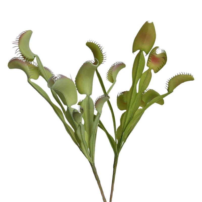 Artificial succulent Cordyceps simulation fly-eating grass people stay small bonsai decorative AliExpress Amazon supply