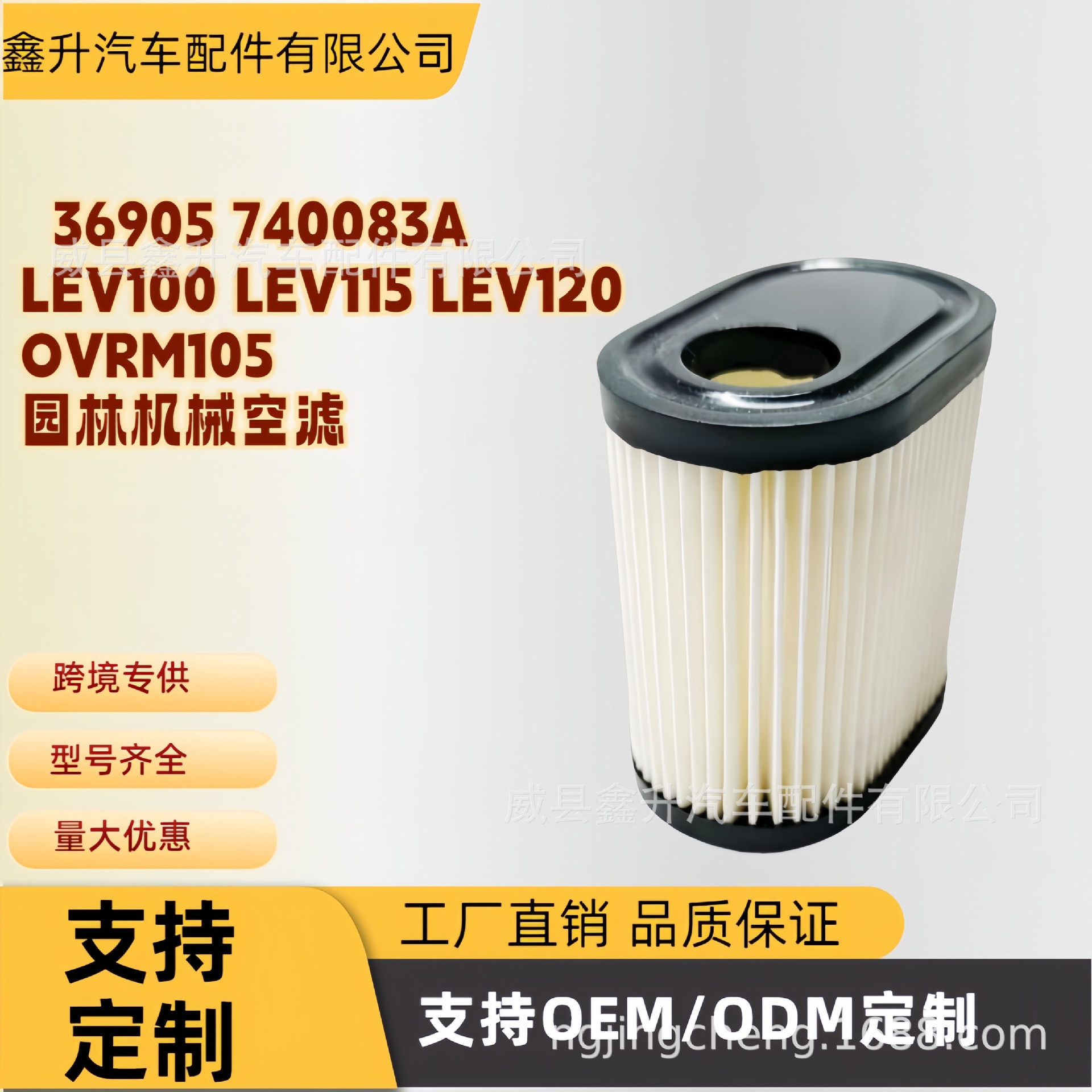 Manufacturers Supply 36905 740083A Lev100 Lev115 Lev120 Ovrm105 Air Filter