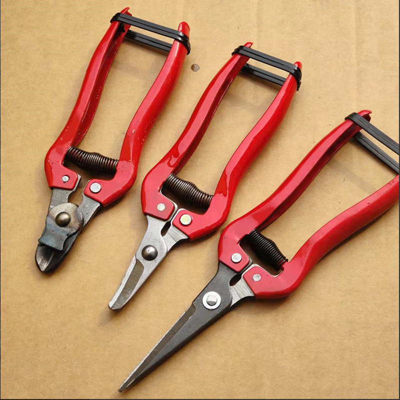 Dezhiwu Straight-Headed Fruit Pruning Shears, Fruit Pruning Shears, Grape Pruning Shears, Curved Fruit Pruning Shears, Tomato Pruning Shears, Flower Pruning Shears, Fruit Pruning Shears