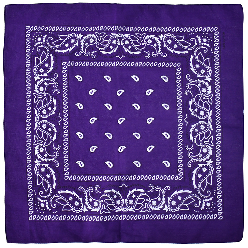Picture of Factory Wholesale European and American Cashew Flower Square Scarf Outdoor Sports Cycling Hip-Hop Spot Pure Cotton Insect Printed Headscarf