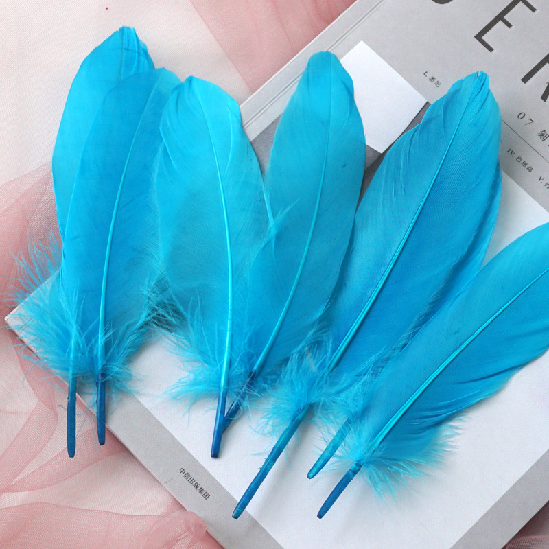 Picture of Feather color goose feather hard big floating dream catcher sunflower kindergarten handmade art class material wings decoration