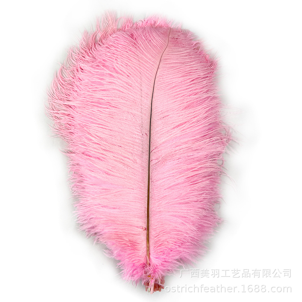 Picture of 35-40cm Ostrich Feather Wholesale Manufacturer Spot Wedding Decoration Feather DIY Crafts Stage Clothing Ostrich Feather