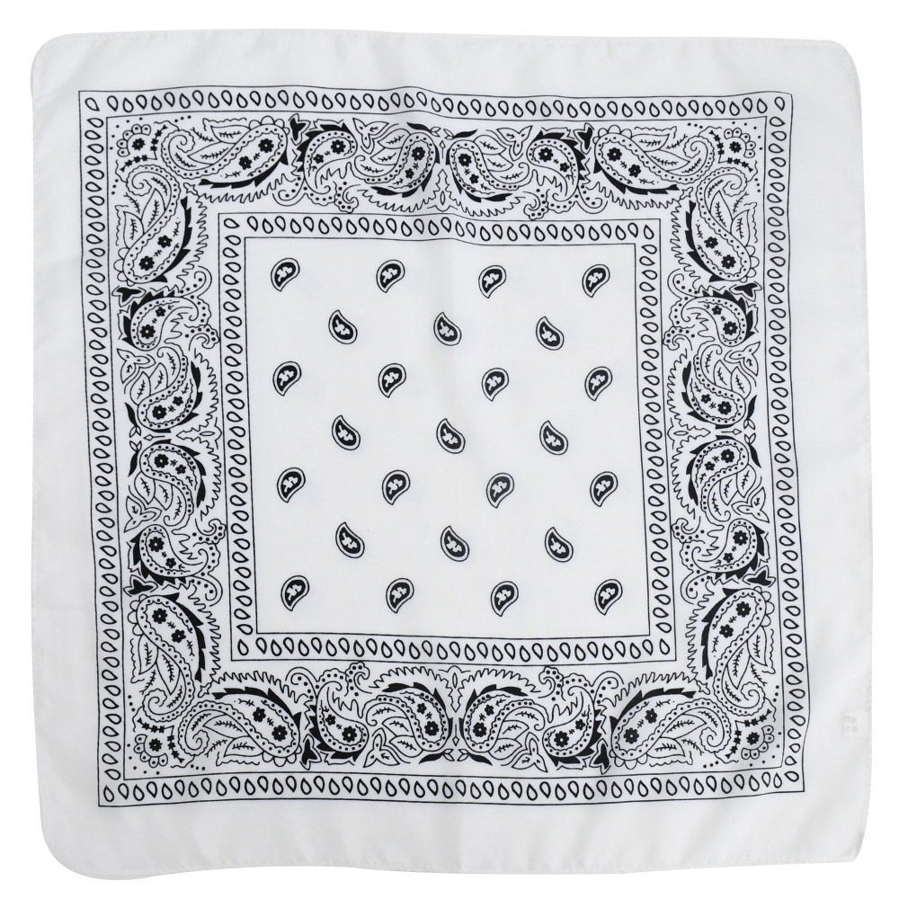 Picture of Factory direct supply in stock polyester square paisley scarf wholesale hip hop hip hop riding cashew flower scarf