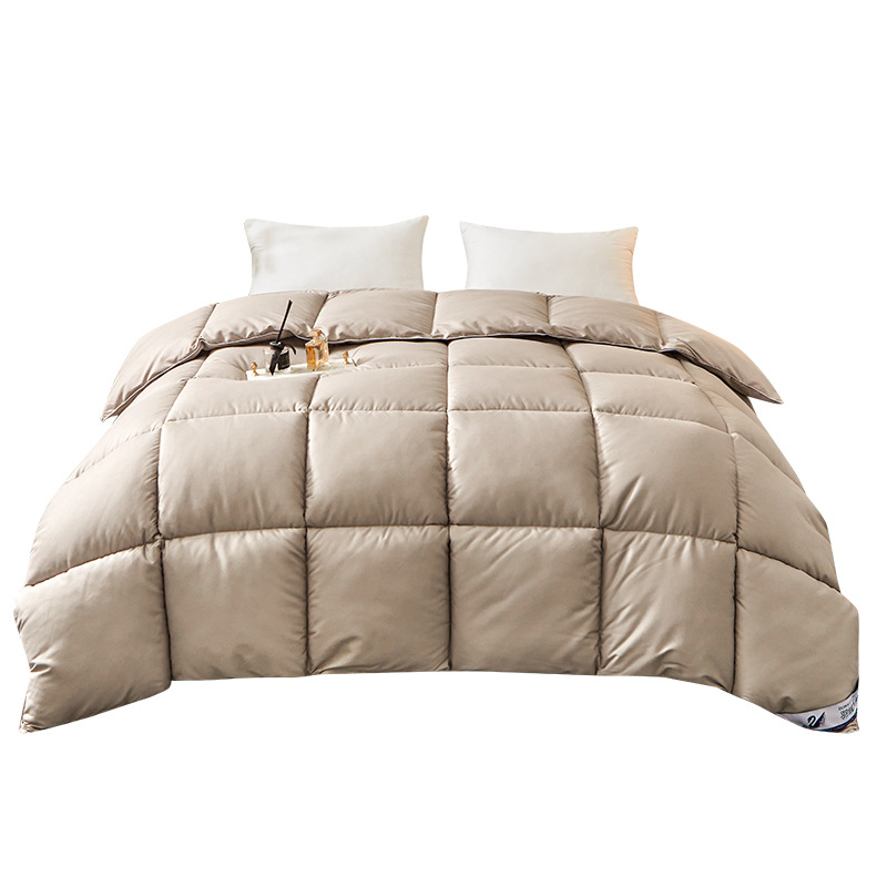 Picture of genuine goods Feather Velvet Quilt Spring and Autumn Quilt Thickened Gift Winter Quilt Down Quilt Cold-proof Warm Thick Quilt for Student Dormitory