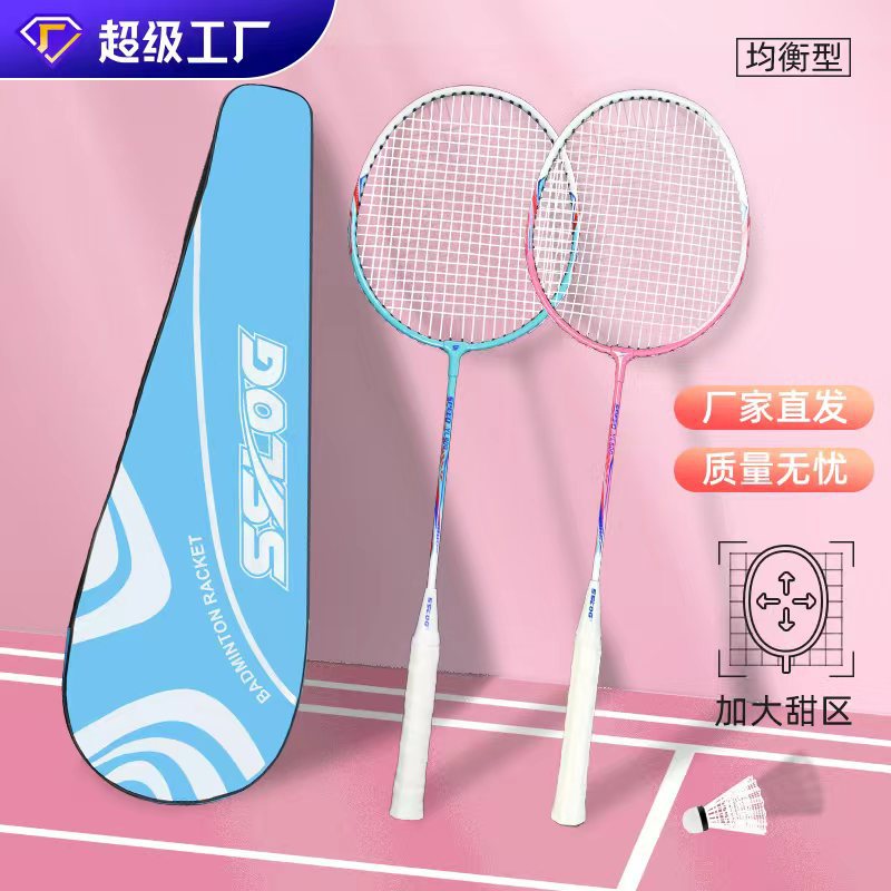 Sai Shilong Badminton Racket Beginner Elementary School Student Ferroalloy Resistant Badminton Racket Pair for Unisex
