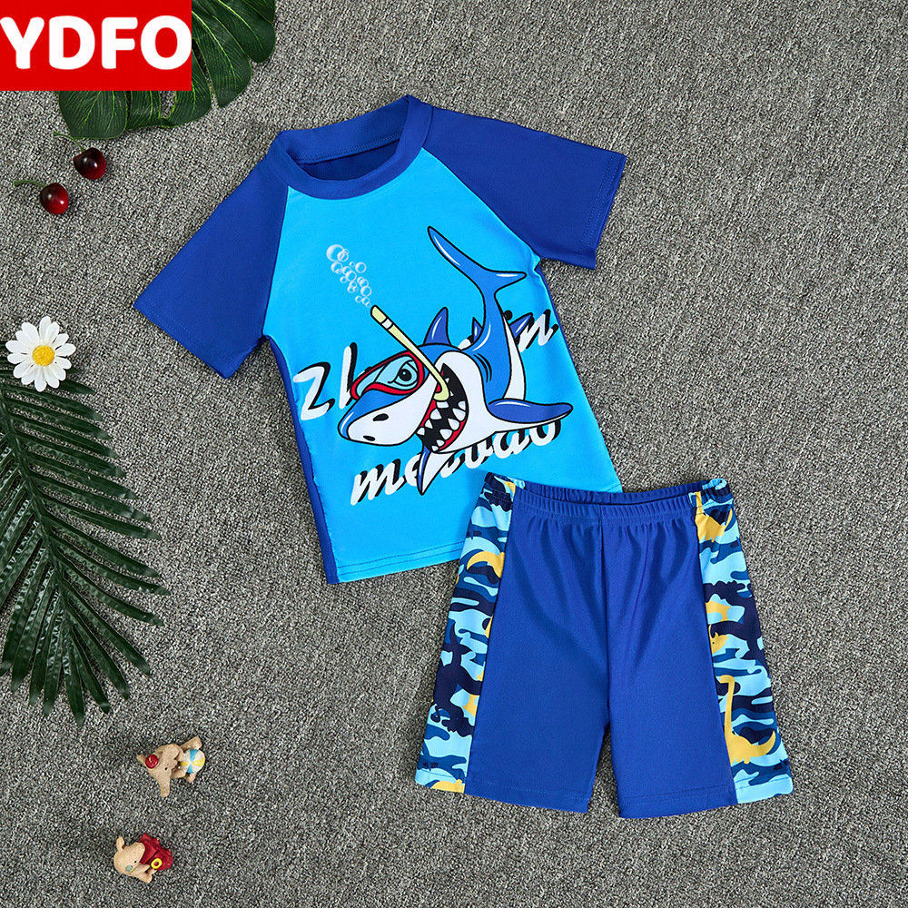 Children's Swimwear Boys Split Summer 2025 New Sunscreen Seaside Cartoon Short-sleeved Swimwear Hot Spring Equipment