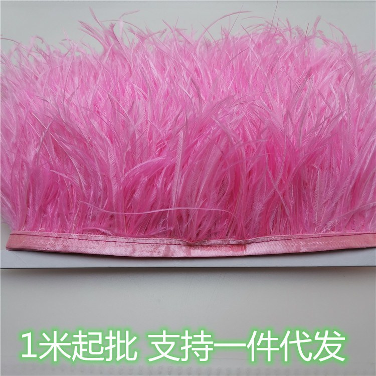 Lace Tassel Cloth Strip Ostrich Feather Cloth Edge Ostrich Feather 8-10cm Latin Clothing Stage Feather Accessories