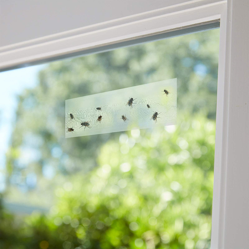Picture of Stickworm window grilles Transparent Stickworm Board Flycatcher Flyboard Fly Sticker Fly Trap Drosophila Sticker Fly Paper