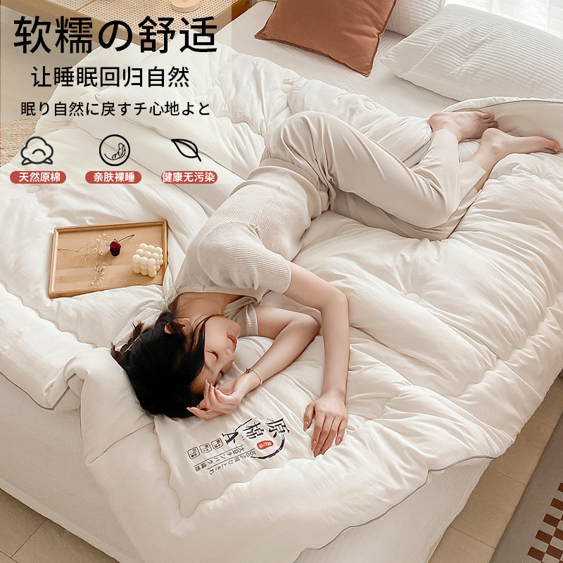 Picture of Class A Raw Cotton Soybean Fiber Quilt Japanese Soybean Quilt Spring and Autumn Quilt Core Thickened Winter Quilt Student Quilt Gift Quilt