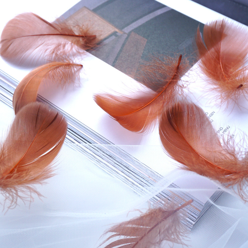 Picture of Color feather DIY floating dyeing goose feather dream catcher wave ball gift box filling decorative materials wholesale