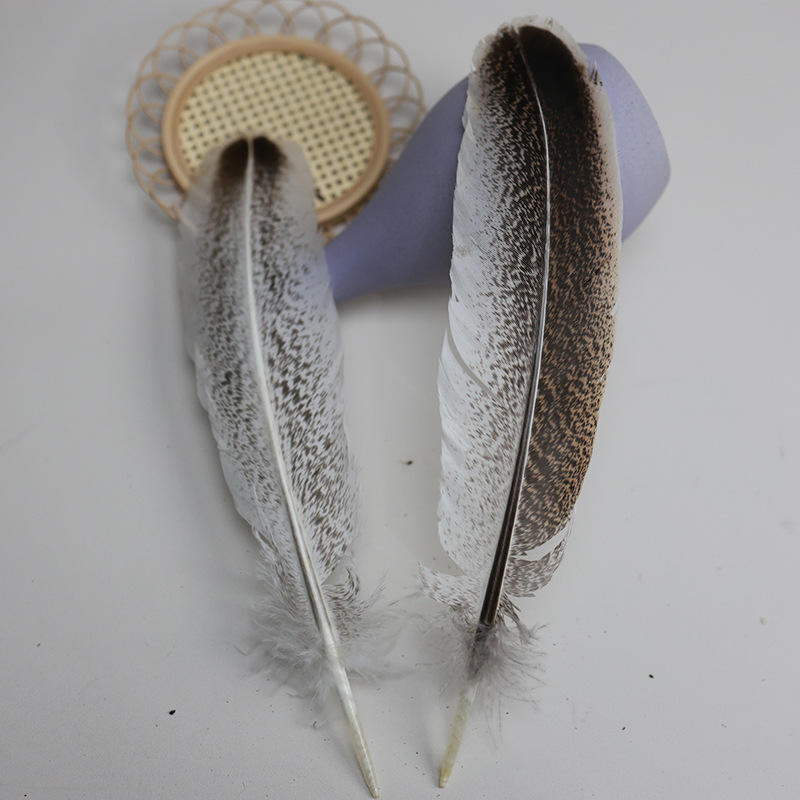Picture of Wholesale turkey feather pockmarked nest feather pheasant feather diy handmade jewelry clothing accessories crafts decorative accessories