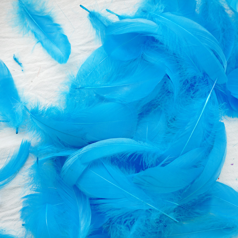 Picture of Macaron color feather decoration goose feather large and medium floating dream catcher gift box filled bouquet diy handmade material