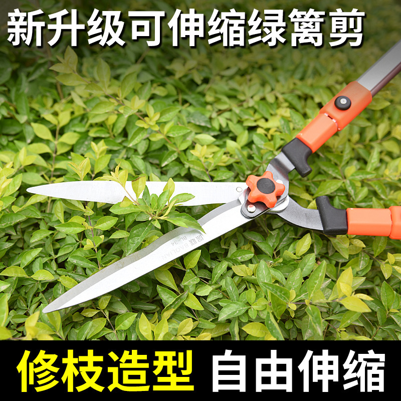 Garden Tools, Gardening Scissors, Flower Pruning Shears, Greening Pruning Shears, Branches, Fruit Trees, Powerful Lawn Flower and Hedge Shears