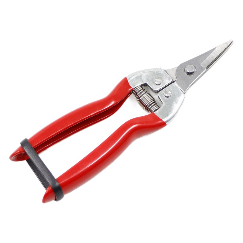SK5 pruning shears grape crosshead shears garden rare fruit shears gardening pruning shears citrus vegetable and fruit picking shears