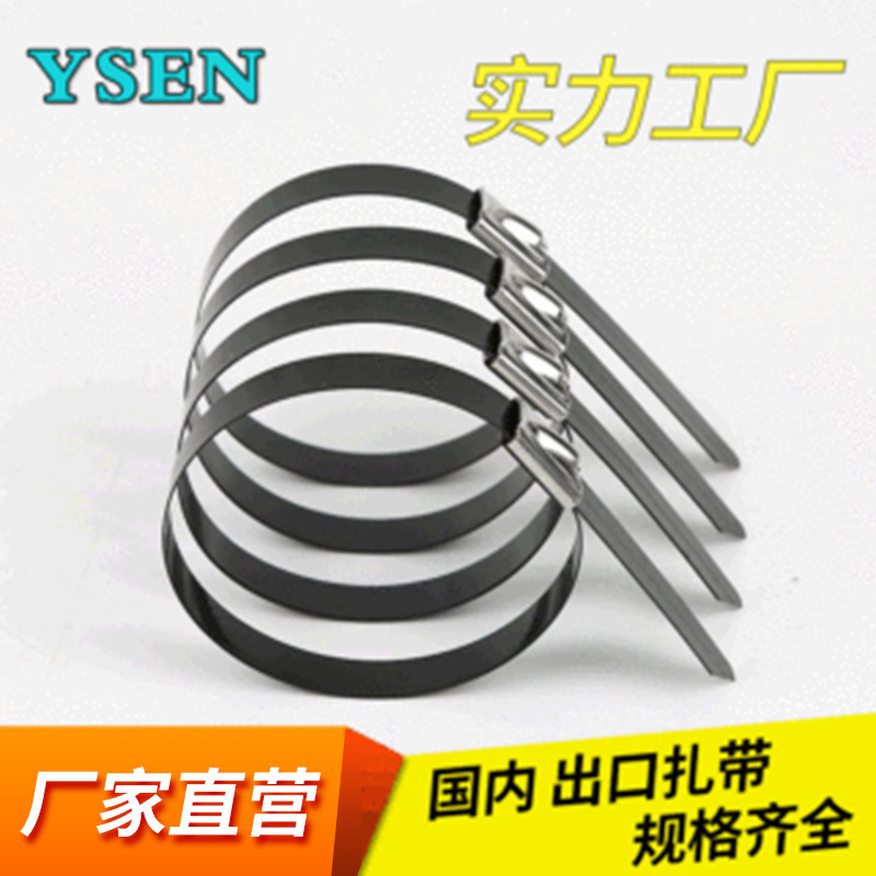 304 plastic sprayed stainless steel cable tie 4.6~16 Bridge Marine black metal steel belt cable tie