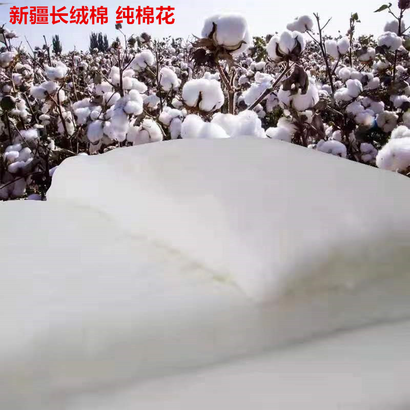 Baby Cotton Washable Cotton Batting Xinjiang Long-Staple Cotton Non-Fluorescent Pure Natural Cotton Clothing Diaper Pad for Baby