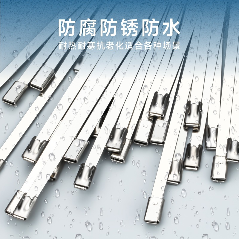 Picture of 304 stainless steel tie self-locking outdoor tie Marine buckle large ribbon tie fixed tie line