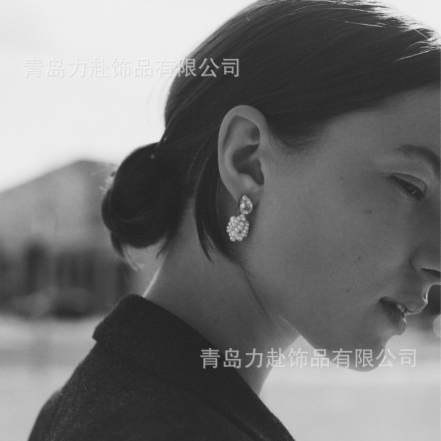French Celin Style Earrings Ins Style Internet Red Pearl Braided Earrings Water Drop Zircon Earrings