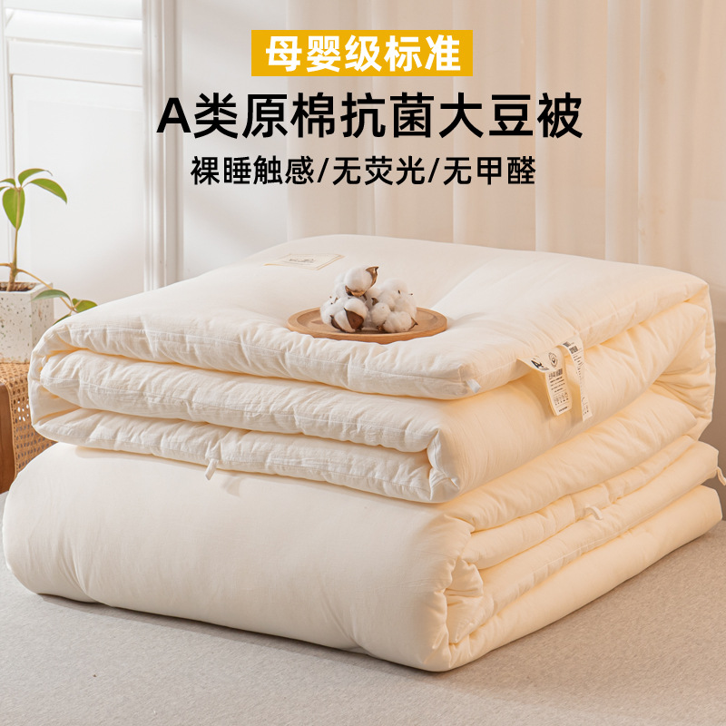 Picture of Class A Pure Cotton Soybean Fiber Quilt for All Seasons Summer Cool Quilt Core Winter Quilt Air Conditioning Quilt Thickened Warm Spring and Autumn
