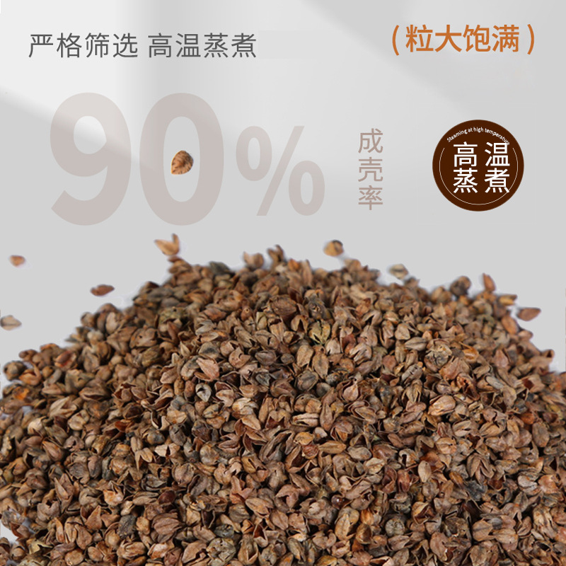 Picture of Full Buckwheat Shell Small Pillow Cervical Spine Sleep Aid Single Adult Home Combination Removable Cervical Spine Hard Pillow Buckwheat Pillow