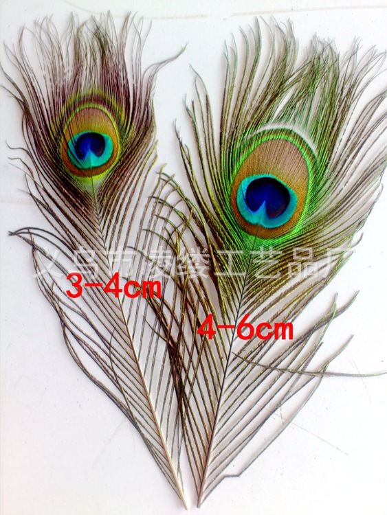 in stock Supply Pheasant Feather Peacock Hair 25-30cm Feather Craft Feather for Headwear Apparel