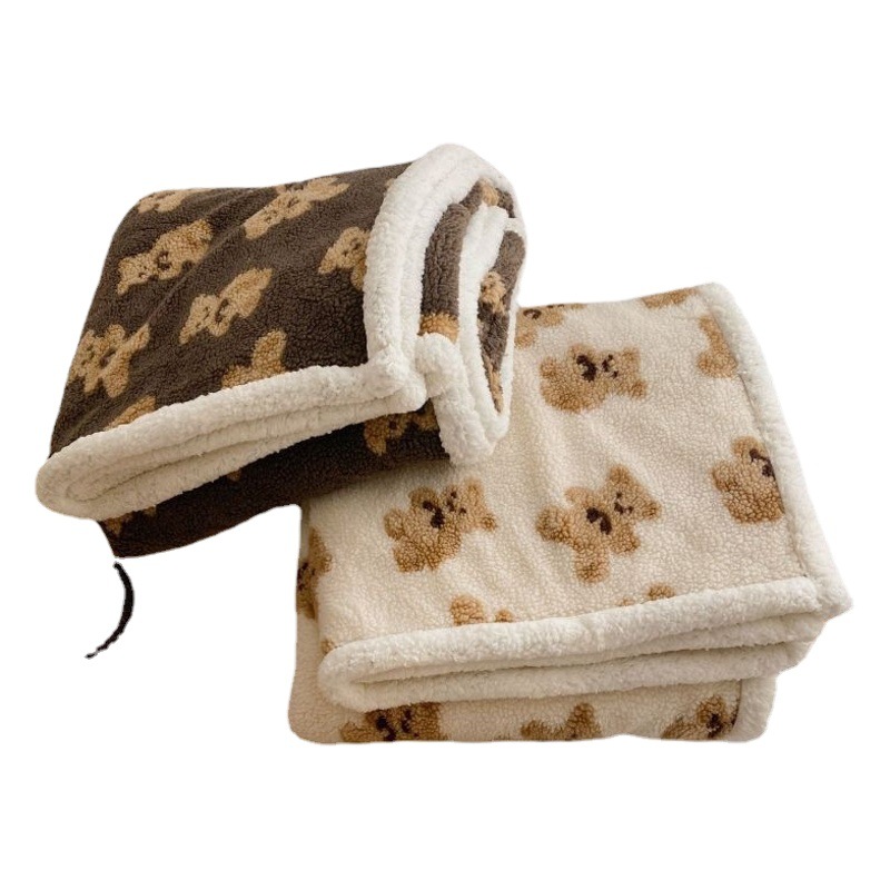 Cartoon Teddy Velvet Blanket Lamb Velvet Blanket Thickened Warm Sofa Blanket Office Nap Student Dormitory Cover Blanket