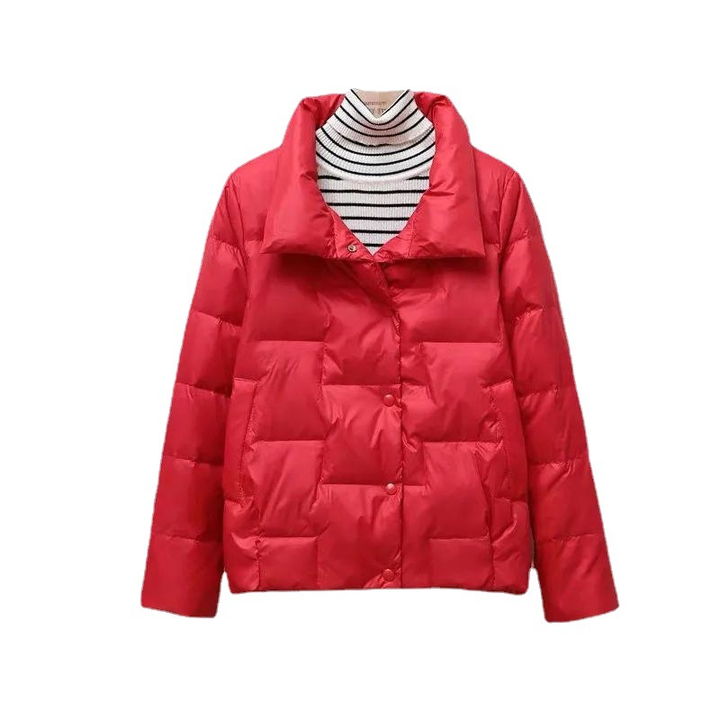 Picture of 2022 Winter New Korean Style Loose Large Size Lightweight Vertical Collar Down Cotton-padded Jacket Casual Short Cotton-padded Jacket Women's Coat
