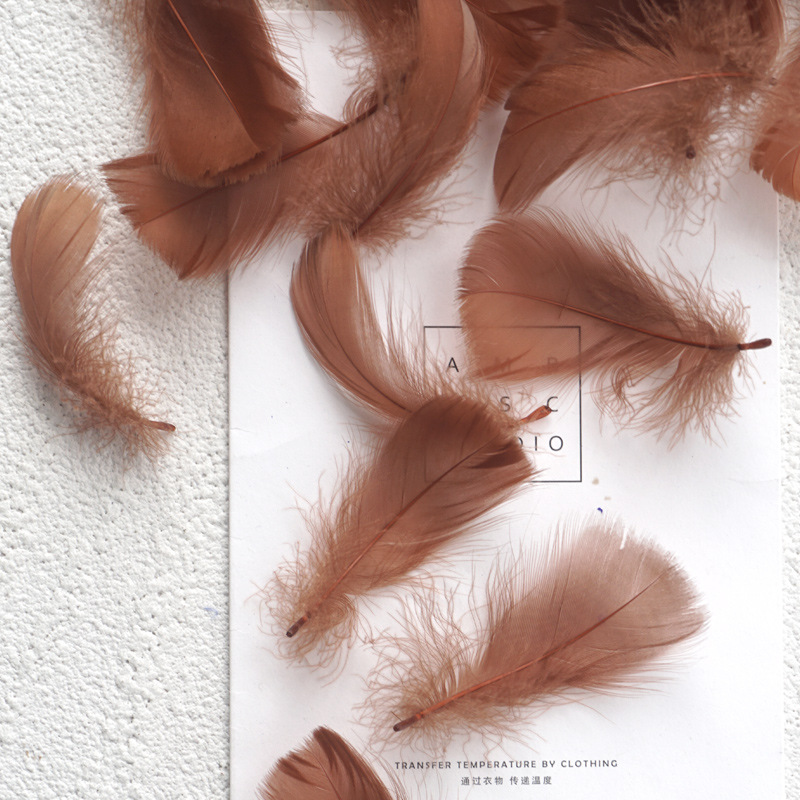 Picture of Manufacturer Wholesale Macaron Colorfulful Small Feather 5-8cm Goose Feather Small Floating Wave Ball Balloon Filling Decorative Material