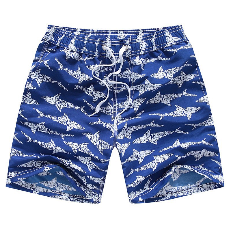 Picture of Children's Beach Pants Big Children's Outdoor Quick-drying Pants Foreign Trade Shorts Beach Swimming Leisure