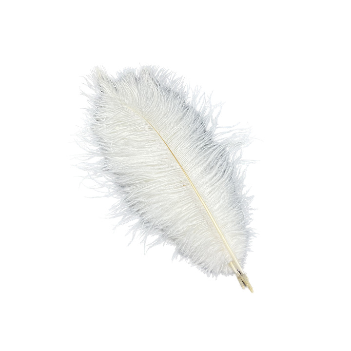 Picture of White ostrich feather 25-30cm natural ostrich feather dyed feather wedding decoration lamp ornament feather