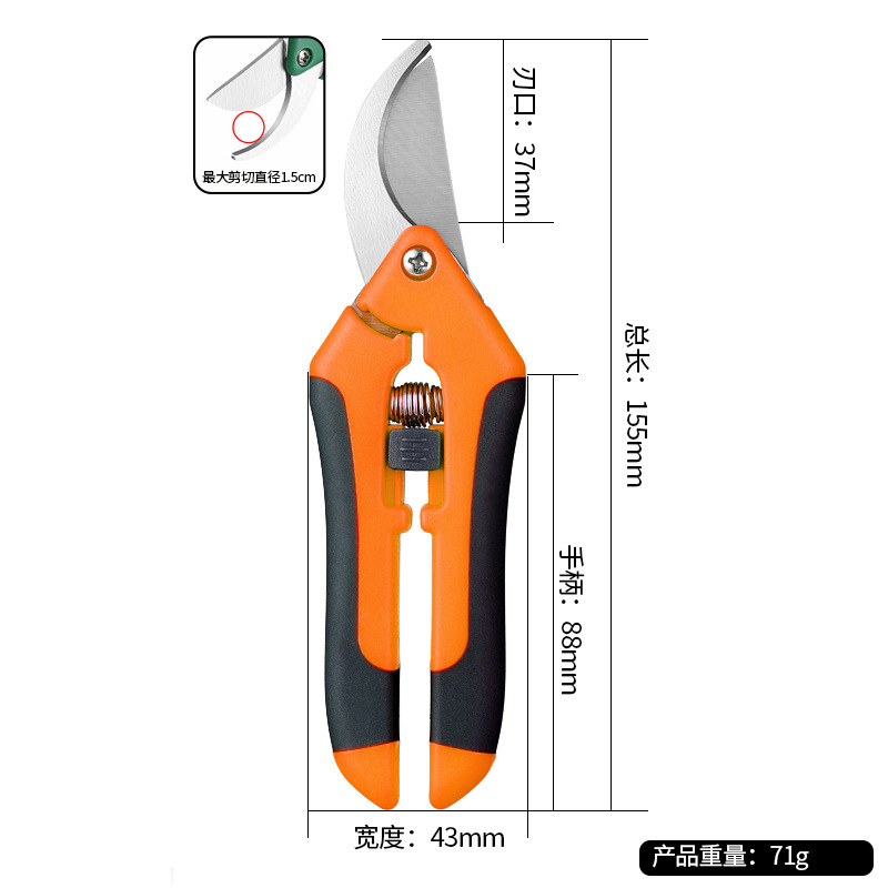 Picture of Gardening Scissors, Pruning Shears, Fruit and Vegetable Scissors, Branch Scissors, Fruit Tree Scissors, Grape Picking Scissors, Garden Tools, Fruit Picking Ready Stock