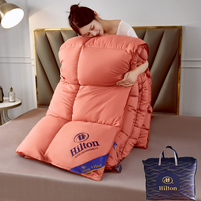 Picture of Hilton star hotel feather velvet quilt spring and autumn quilt homestay imitation goose down quilt core group purchase gift quilt wholesale