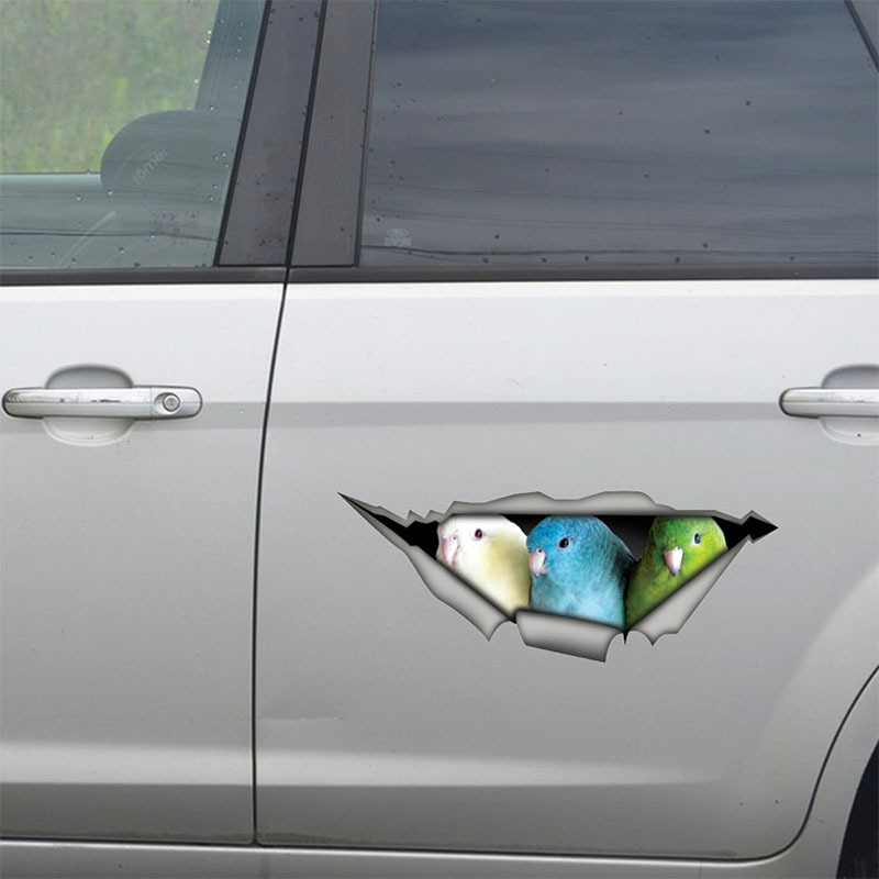 Animal car stickers cartoon decorative stickers car funny bird wall stickers self-adhesive removable cross-border AliExpress generation hair