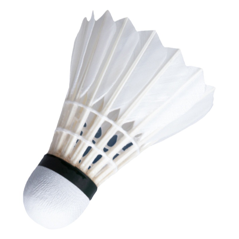 Picture of Counter Attacker Y5 Badminton Genuine Durable 3/6/12 Pack Duck Goose Feather Professional Durable Special Windproof Training