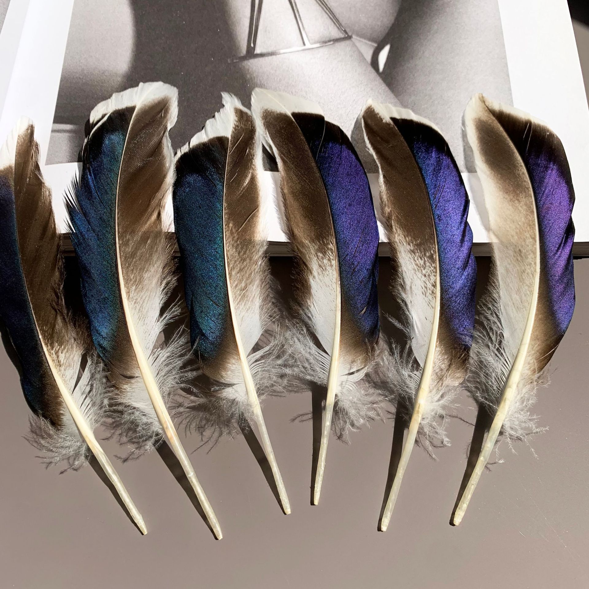 Picture of in stock wholesale diy feather natural duck feather green feather jewelry white head color wild duck feather duck feather green feather