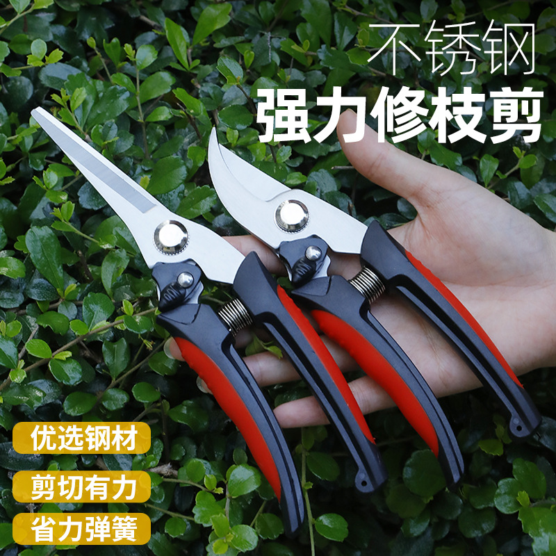 Amazon's Best-Selling Stainless Steel Pruning Shears, Special Powerful Gardening Tools for Picking Fruits in Orchards, Branch Shears, Thick Branch Shears