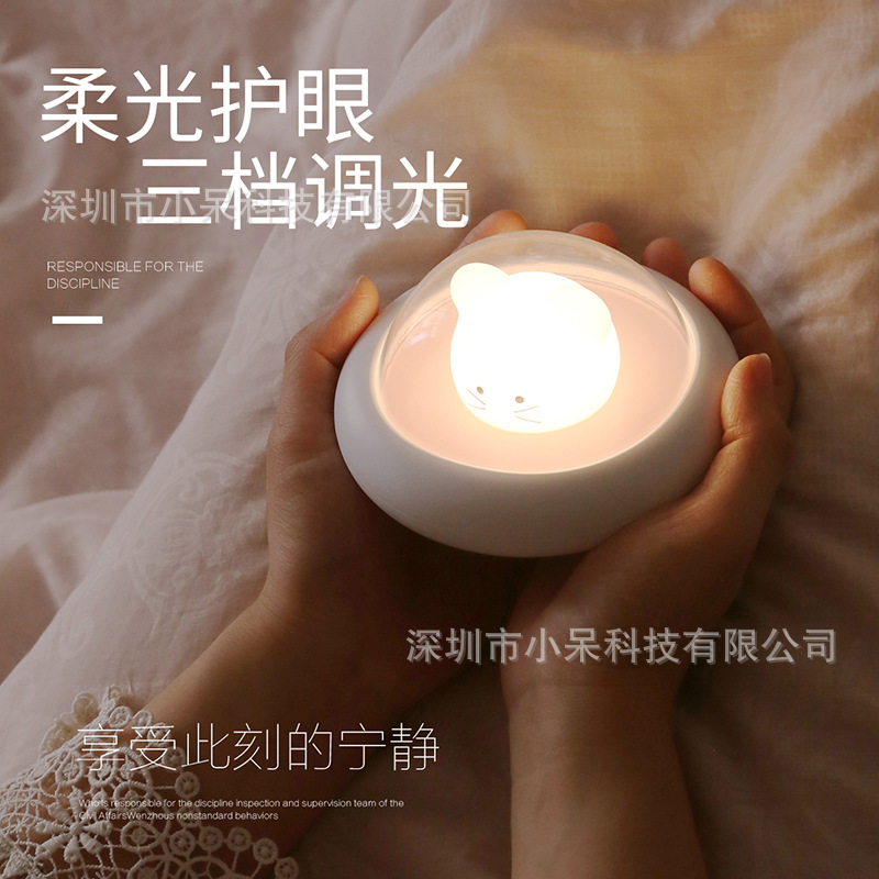 Picture of New exotic LED night light space mouse lamp usb charging smart bedside sleep feeding lamp creative gifts