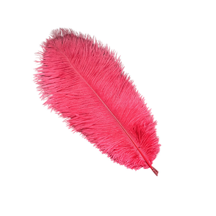Picture of White ostrich feather 25-30cm natural ostrich feather dyed feather wedding decoration lamp ornament feather