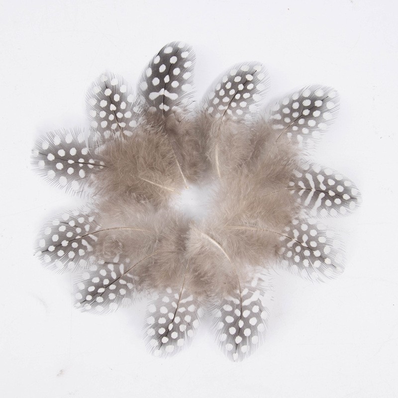 Factory Direct Sale of Natural-Colored Polka Dot Feather Cat Teaser Accessories, Colorful Polka Dot Pheasant Feathers, Pearl Chicken Feather Flowers