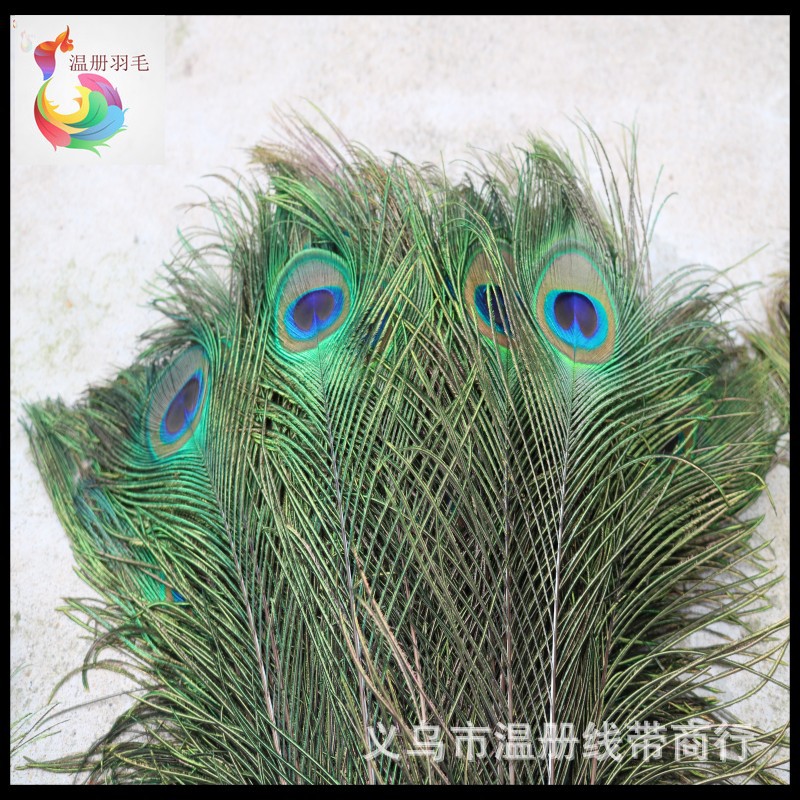Picture of Feather Manufacturer Now Selling 30cm Peacock Feathers for Natural Flower Arrangement, Decorative Earrings, Necklaces, Dreamcatchers, and Performance Props