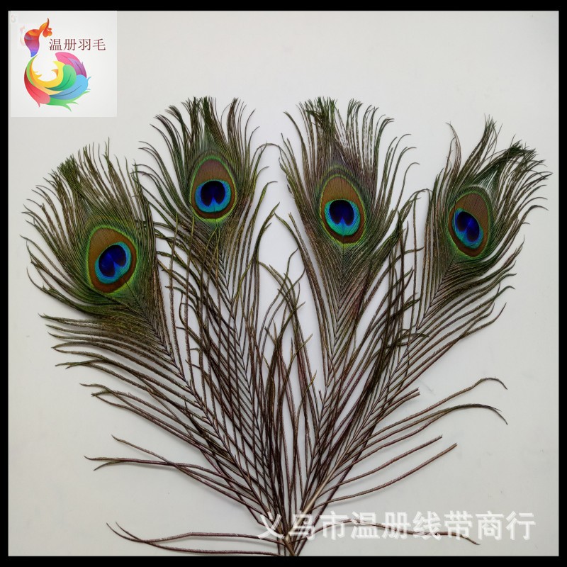 Feather Manufacturer Now Selling 30cm Peacock Feathers for Natural Flower Arrangement, Decorative Earrings, Necklaces, Dreamcatchers, and Performance Props