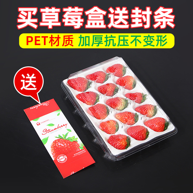 Factory Direct Sales Strawberry Box with Transparent Compartments, Anti-Drop and Thickened Disposable Packaging Box, Thickened and Anti-Drop