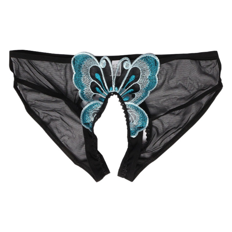 Pure Desire Transparent Lace Fashion Underwear Butterfly Embroidery Sexy Passion Temptation Interest Free Crotch Triangle