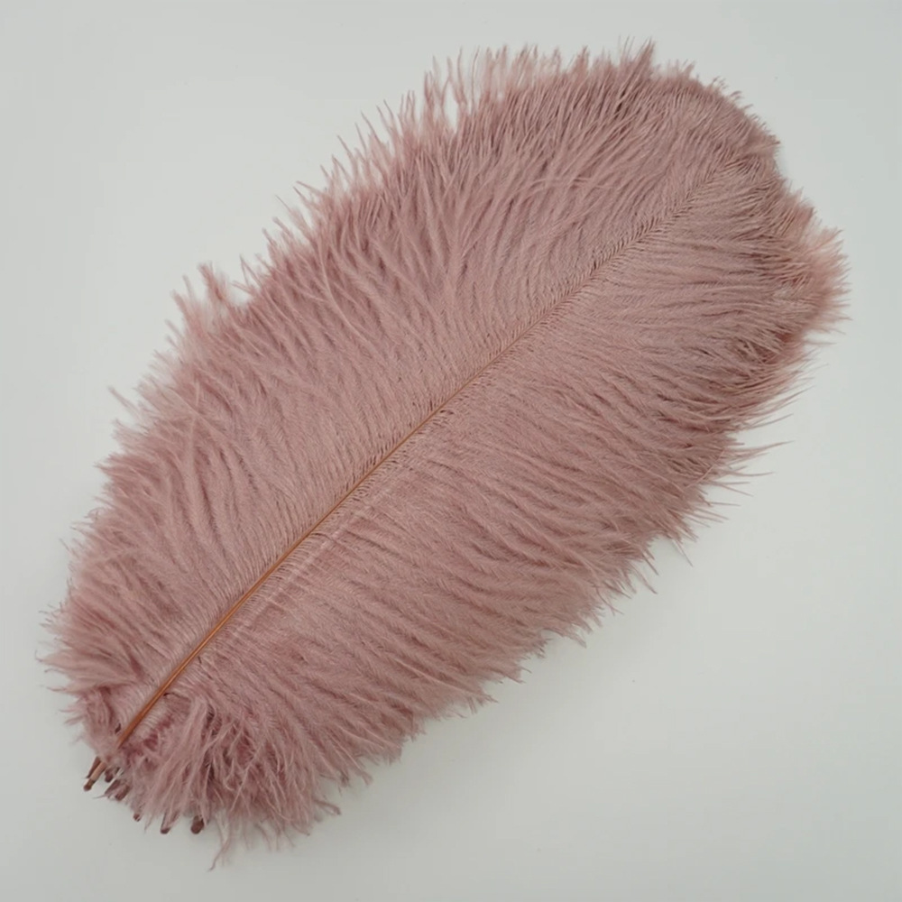 Picture of 20-25cm Ostrich Feathers Wholesale Manufacturer in Stock Wedding Decoration Feathers DIY Crafts Stage Costumes Ostrich Feathers