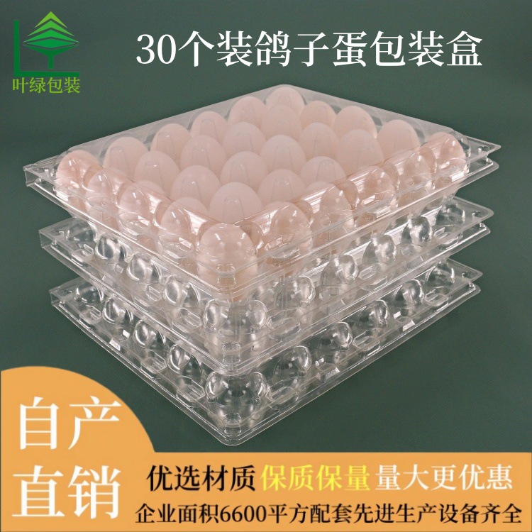 Plastic special pigeon egg packaging 30 blister pigeon egg holder PET transparent disposable pigeon egg box wholesale