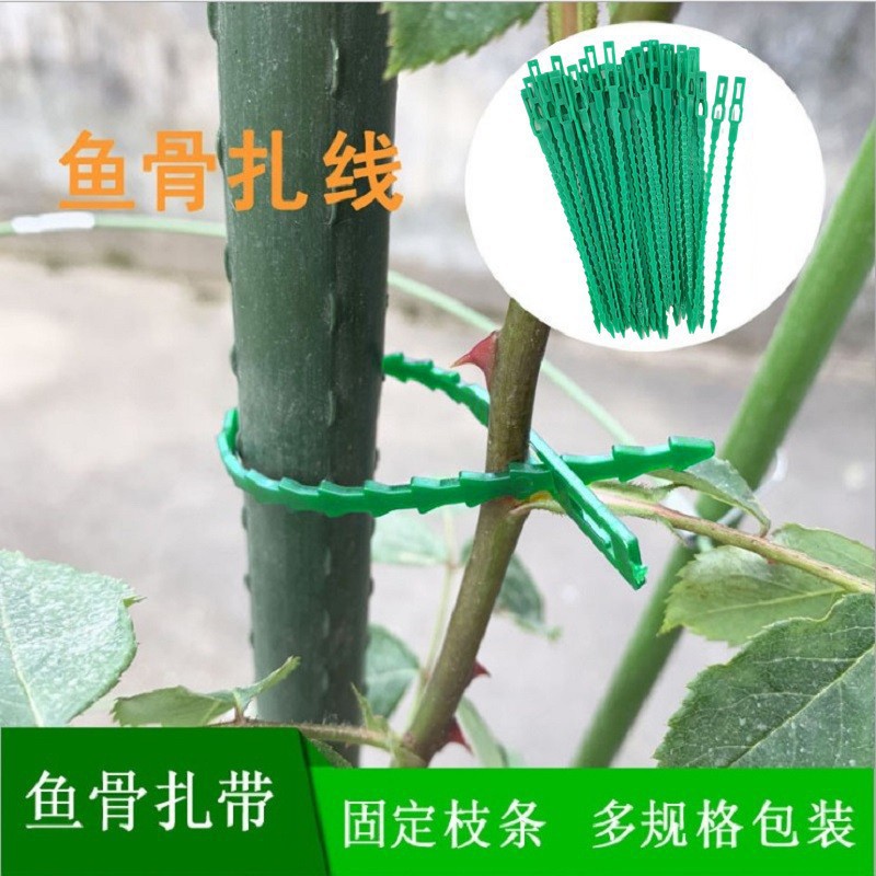 Adjustable Fishbone Tie Binding Line Multi-purpose Garden Tie Tree Vine Plant Fixed Gardening Detachable Tie Line